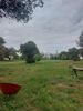 Land plot 10.000sqm for sale-Koropi