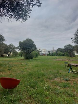 Land plot 10.000 sqm for sale, Athens - East, Koropi