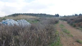 Parcel 5.000 sqm for rent