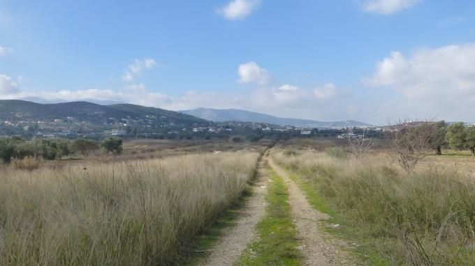 Αγροτεμάχια 5.000 τ.μ. για ενοικίαση, Αθήνα - Ανατολικά Προάστια, Σπάτα