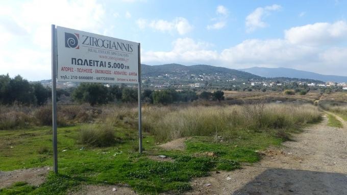 Αγροτεμάχια 5.000 τ.μ. προς ενοικίαση, Αθήνα - Ανατολικά Προάστια, Σπάτα