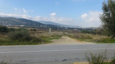 Αγροτεμάχια 5.000τ.μ. για ενοικίαση-Σπάτα