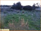 Land plot 3.300sqm for rent-Spata