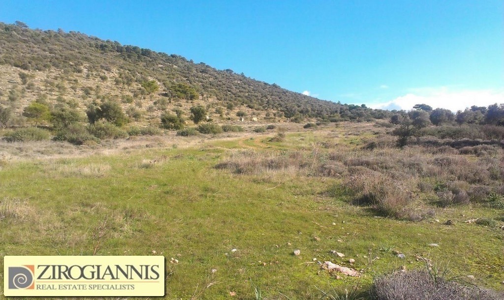 Οικόπεδο 30.000 τ.μ. προς ενοικίαση, Αττική - Υπόλοιπο, Καλύβια Θορικού