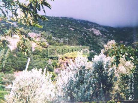 Οικόπεδο 1.200 τ.μ. για πώληση