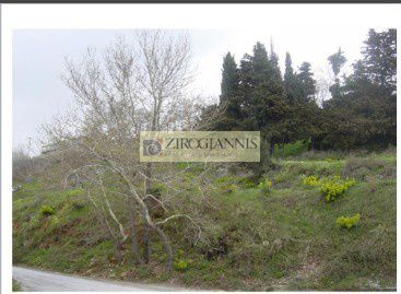 Αγροτεμάχια 1.574 τ.μ. για πώληση