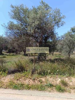 Οικόπεδο 254 τ.μ. για πώληση