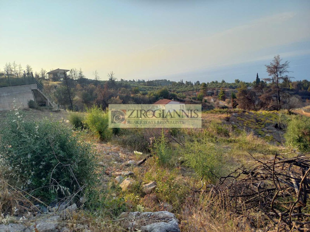 Οικόπεδο 500 τ.μ. προς πώληση, Άνω Λουτρό