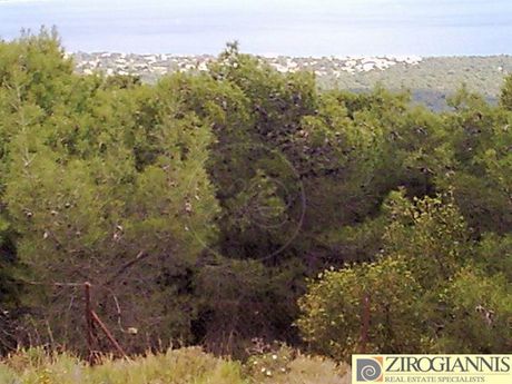 Οικόπεδο 1.132τ.μ. για πώληση-Νέα μάκρη