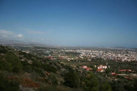 Αγροτεμάχια 16.000τ.μ. για πώληση-Κορωπί