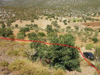 Αγροτεμάχια 4.025 τ.μ. για πώληση, Αργολίδα, Κρανίδι-thumb-6