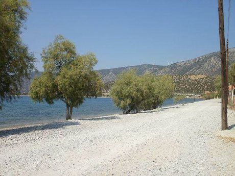 Αγροτεμάχια 4.025τ.μ. για πώληση-Κρανίδι