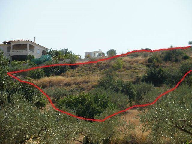 Αγροτεμάχια 4.025 τ.μ. προς πώληση, Κρανίδι