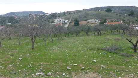 Αγροτεμάχια 4.000τ.μ. για πώληση-Κορωπί