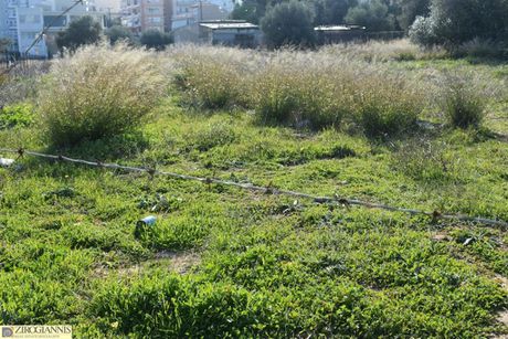 Οικόπεδο 2.960 τ.μ. για πώληση