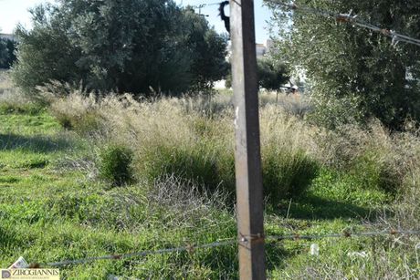 Οικόπεδο 2.960τ.μ. για πώληση-Σπάτα