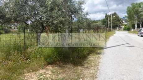 Οικόπεδο 5.111τ.μ. για πώληση-Παλλήνη