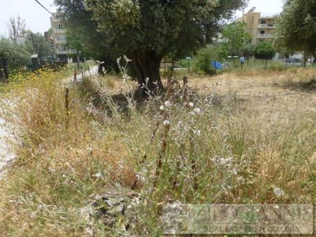 Οικόπεδο 900τ.μ. για πώληση-Παλλήνη