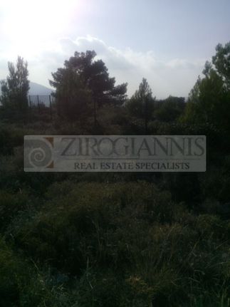 Οικόπεδο 360 τ.μ. για πώληση, Αττική - Υπόλοιπο, Πολυδένδρι