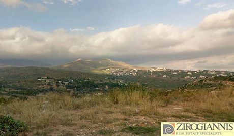 Οικόπεδο 2.500τ.μ. για πώληση-Πικέρμι
