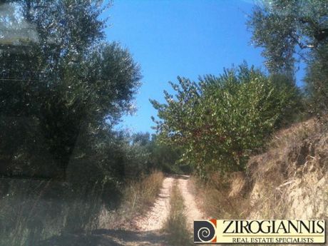 Αγροτεμάχια 140.000τ.μ. για πώληση-Γαργαλιάνοι