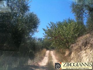 Αγροτεμάχια 140.000 τ.μ. προς πώληση, Γαργαλιάνοι-thumb-3