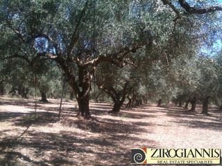 Αγροτεμάχια 140.000 τ.μ. προς πώληση, Γαργαλιάνοι-thumb-1