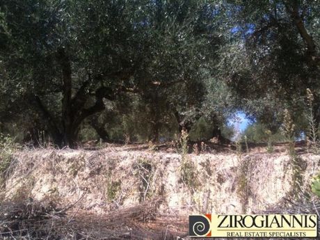 Αγροτεμάχια 140.000τ.μ. για πώληση-Γαργαλιάνοι