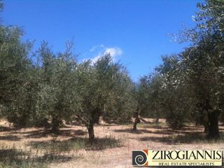 Αγροτεμάχια 140.000 τ.μ. για πώληση