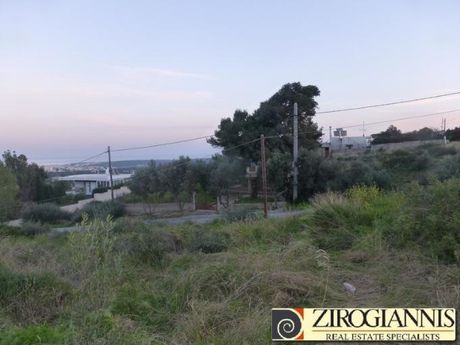 Οικόπεδο 5.500τ.μ. για πώληση-Ραφήνα