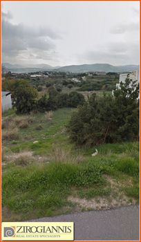 Οικόπεδο 5.800τ.μ. για πώληση-Παλλήνη