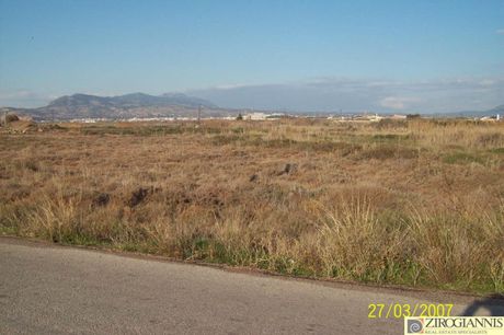 Αγροτεμάχια 9.994τ.μ. για πώληση-Μέγαρα