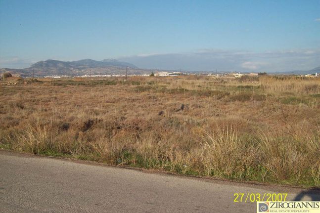 Αγροτεμάχια 9.994 τ.μ. για πώληση, Αττική - Υπόλοιπο, Μέγαρα