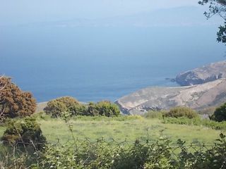 Οικόπεδο 10.000 τ.μ. πρός πώληση, Εύβοια, Καφήρα-thumb-5