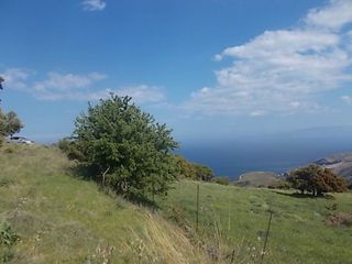 Οικόπεδο 10.000 τ.μ. πρός πώληση, Εύβοια, Καφήρα-thumb-7
