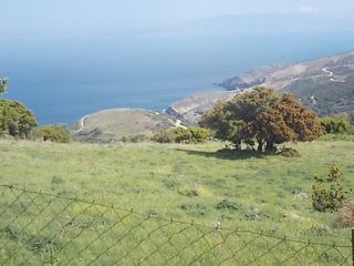 Οικόπεδο 10.000 τ.μ. πρός πώληση, Εύβοια, Καφήρα-thumb-4