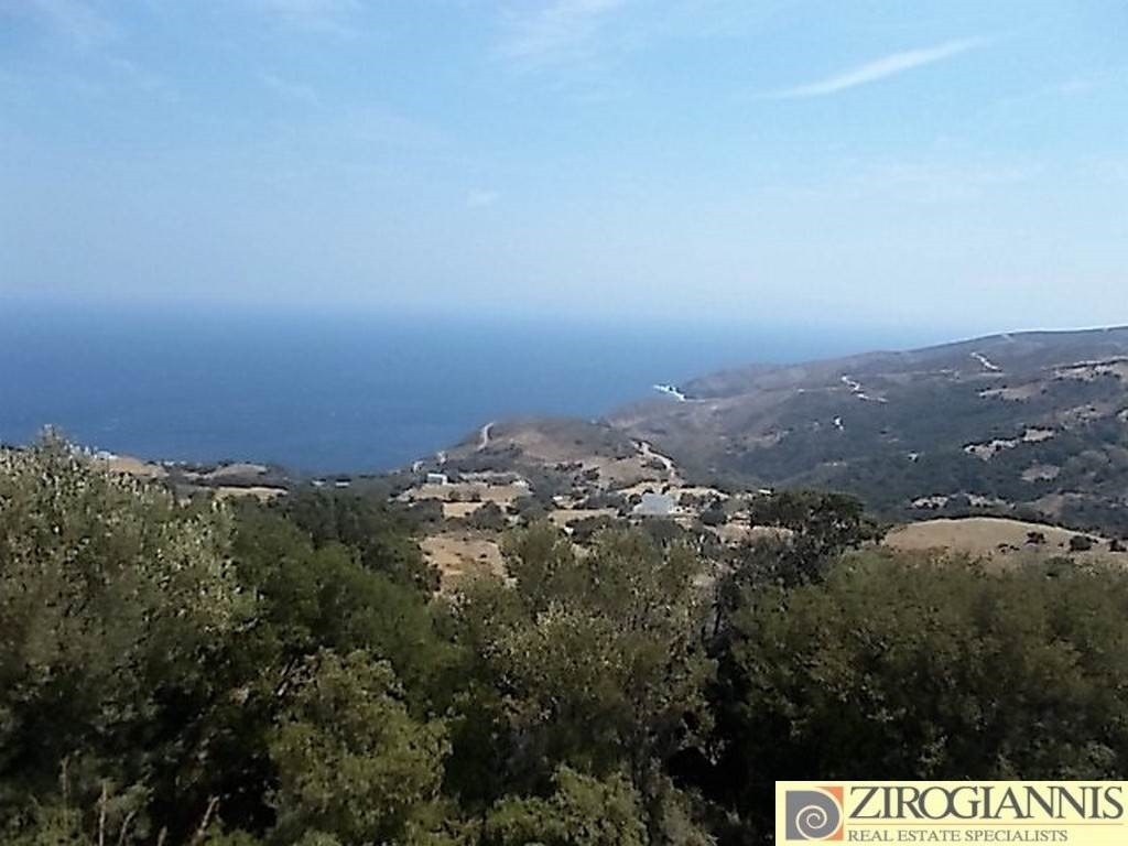 Οικόπεδο 10.000 τ.μ. πρός πώληση, Εύβοια, Καφήρα