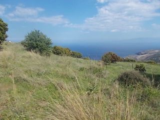 Οικόπεδο 10.000 τ.μ. πρός πώληση, Εύβοια, Καφήρα-thumb-10