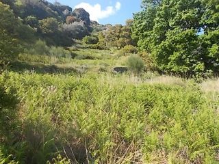 Οικόπεδο 10.000 τ.μ. πρός πώληση, Εύβοια, Καφήρα-thumb-6