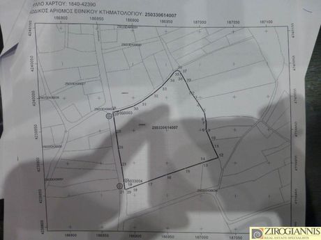 Αγροτεμάχια 16.800τ.μ. για πώληση-Κεφαλονιά