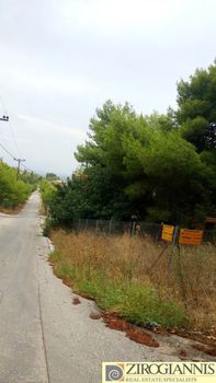 Αγροτεμάχια 30.000τ.μ. για πώληση-Παλλήνη