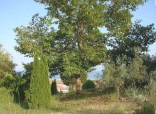 Διαμέρισμα 200 τ.μ. για πώληση, Ν. Καβάλας, Ελευθερούπολη-thumb-11