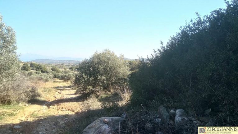 Αγροτεμάχια 12.000 τ.μ. για πώληση, Αττική - Υπόλοιπο, Πικέρμι