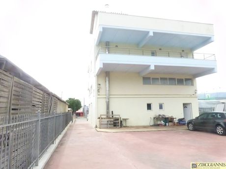 Επιχειρηματικό κτίριο 345τ.μ. για πώληση-Παλλήνη