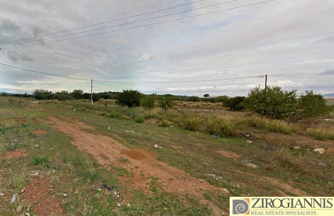Αγροτεμάχια 1.282 τ.μ. για πώληση, Αθήνα - Ανατολικά Προάστια, Κορωπί