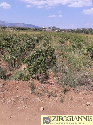 Αγροτεμάχια 4.400 τ.μ. για πώληση, Αθήνα - Ανατολικά Προάστια, Σπάτα