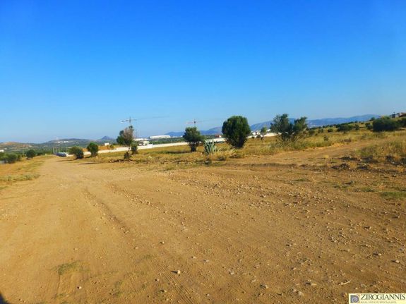 Οικόπεδο 1.000 τ.μ. για πώληση, Αθήνα - Ανατολικά Προάστια, Σπάτα