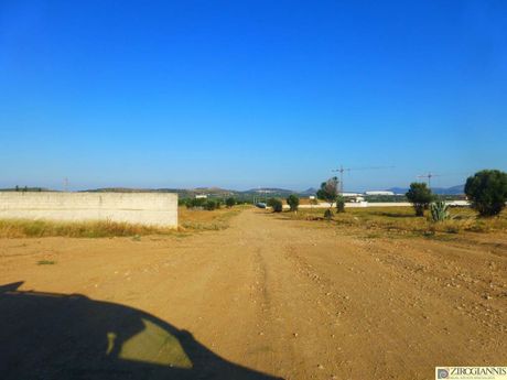 Οικόπεδο 10.000 τ.μ. για πώληση