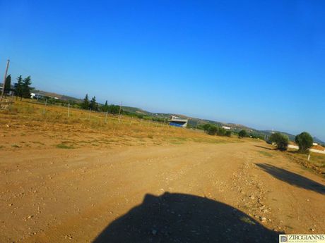 Οικόπεδο 10.000τ.μ. για πώληση-Σπάτα