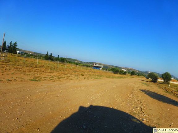 Οικόπεδο 10.000 τ.μ. για πώληση, Αθήνα - Ανατολικά Προάστια, Σπάτα